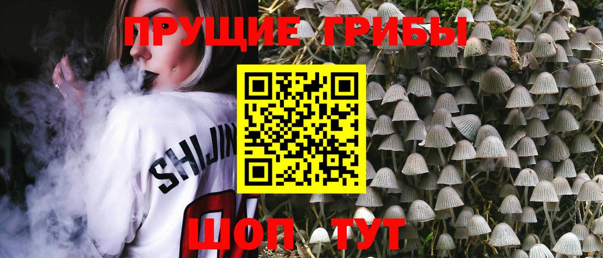 Новокуйбышевск  Галлюциногенные грибы ЛСД  Вход с VPN 