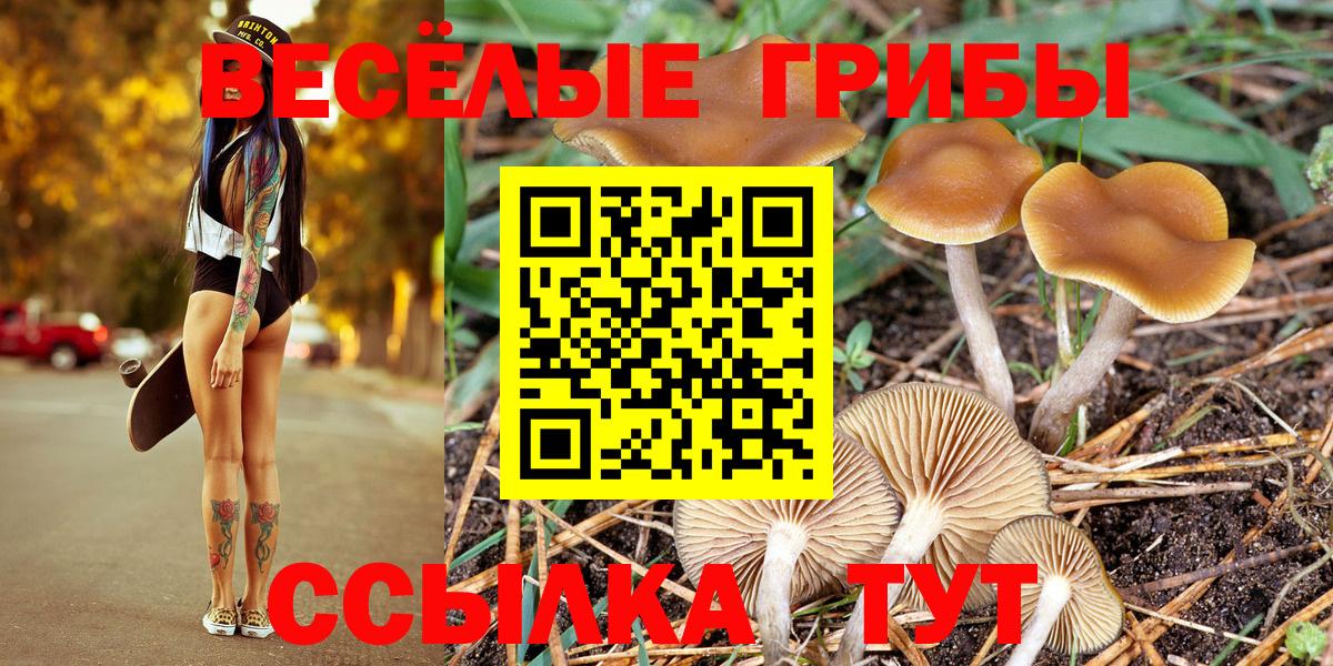 Псилоцибиновые грибы MAGIC MUSHROOMS Новокуйбышевск